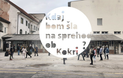 Ajda Tomazin z ustvarjalci: Jata izkušenih ptic <em>Foto: Maša Pirc</em>